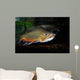 Brook Trout Salvelinus Fontinalis Wall Decal Design 3