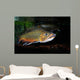 Brook Trout Salvelinus Fontinalis Wall Decal Design 3