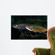 Brook Trout Salvelinus Fontinalis Wall Decal Design 2