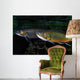 Brook Trout Salvelinus Fontinalis Wall Decal Design 2