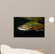 Brook Trout Salvelinus Fontinalis Wall Decal Design 1