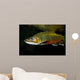 Brook Trout Salvelinus Fontinalis Wall Decal Design 1