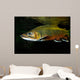 Brook Trout Salvelinus Fontinalis Wall Decal Design 1