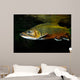 Brook Trout Salvelinus Fontinalis Wall Decal Design 1