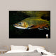 Brook Trout Salvelinus Fontinalis Wall Decal Design 1