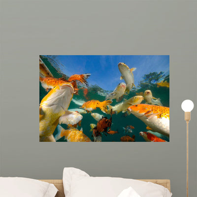 Koi Freshwater Carp Raised Wall Decal Design 6 shown on a wall