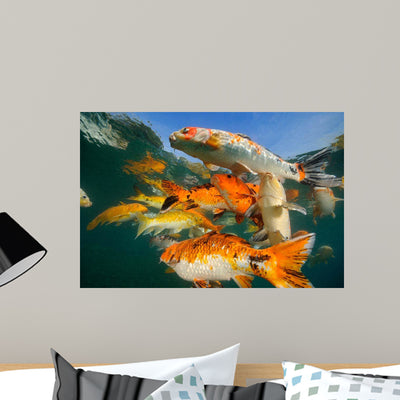 Koi Freshwater Carp Raised Wall Decal Design 5 shown on a wall