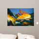 Koi Freshwater Carp Raised Wall Decal Design 2