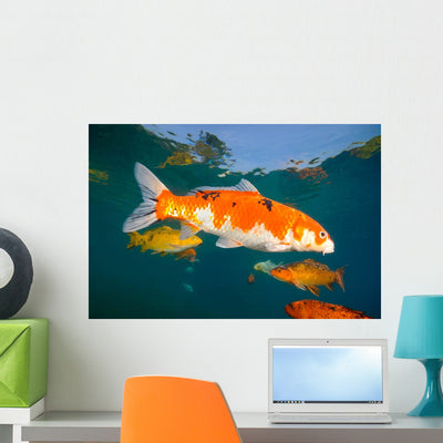 Koi Freshwater Carp Raised Wall Decal Design 1 shown on a wall