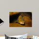 Brown Trout Salmo Trutta Wall Decal