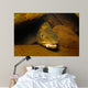 Brown Trout Salmo Trutta Wall Decal