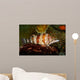 Painted Greenling Oxylebius Pictus Wall Decal