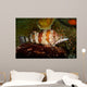 Painted Greenling Oxylebius Pictus Wall Decal