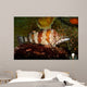 Painted Greenling Oxylebius Pictus Wall Decal