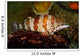 Painted Greenling Oxylebius Pictus Wall Decal