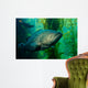 Broomtail Grouper Mycteroperca Xenarcha Wall Decal