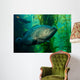 Broomtail Grouper Mycteroperca Xenarcha Wall Decal