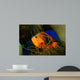 Red Saddleback Anemonefish Wall Decal Design 2