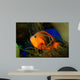 Red Saddleback Anemonefish Wall Decal Design 2