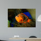 Red Saddleback Anemonefish Wall Decal Design 2