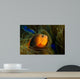 Red Saddleback Anemonefish Wall Decal Design 1