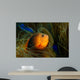 Red Saddleback Anemonefish Wall Decal Design 1