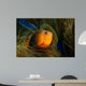 Red Saddleback Anemonefish Wall Decal Design 1