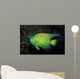 Queen Angelfish Holocanthus Ciliaris Wall Decal Design 2