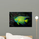 Queen Angelfish Holocanthus Ciliaris Wall Decal Design 2