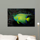 Queen Angelfish Holocanthus Ciliaris Wall Decal Design 2