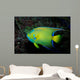 Queen Angelfish Holocanthus Ciliaris Wall Decal Design 2