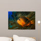 Red Saddleback Anemonefish Amphiprion Wall Decal