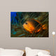 Red Saddleback Anemonefish Amphiprion Wall Decal
