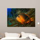 Red Saddleback Anemonefish Amphiprion Wall Decal