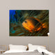 Red Saddleback Anemonefish Amphiprion Wall Decal