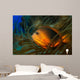 Red Saddleback Anemonefish Amphiprion Wall Decal