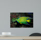 Queen Angelfish Holocanthus Ciliaris Wall Decal Design 1