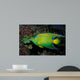 Queen Angelfish Holocanthus Ciliaris Wall Decal Design 1