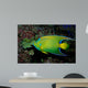 Queen Angelfish Holocanthus Ciliaris Wall Decal Design 1
