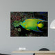 Queen Angelfish Holocanthus Ciliaris Wall Decal Design 1