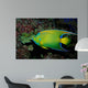 Queen Angelfish Holocanthus Ciliaris Wall Decal Design 1