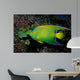 Queen Angelfish Holocanthus Ciliaris Wall Decal Design 1