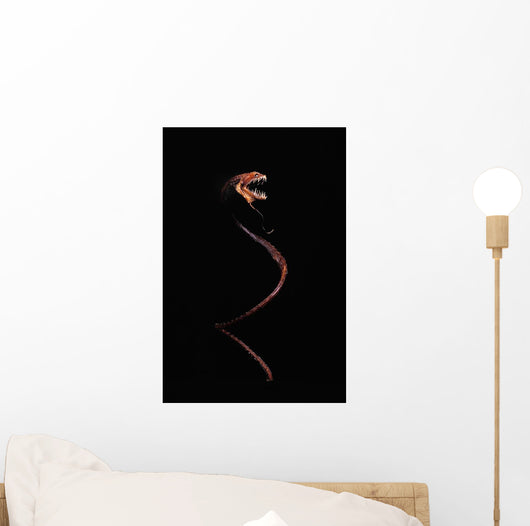Dragonfish Idiacanthus Antrostomus Wall Decal