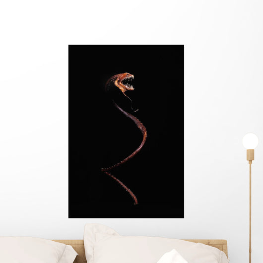 Dragonfish Idiacanthus Antrostomus Wall Decal