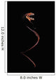 Dragonfish Idiacanthus Antrostomus Wall Decal