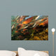 Red Salmon Oncorhynchus Nerka Wall Decal Design 4