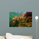 Red Salmon Oncorhynchus Nerka Wall Decal Design 1
