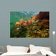Red Salmon Oncorhynchus Nerka Wall Decal Design 1