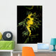Leafy Seadragon Phycodurus Eques Wall Decal Design 4