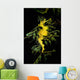 Leafy Seadragon Phycodurus Eques Wall Decal Design 4
